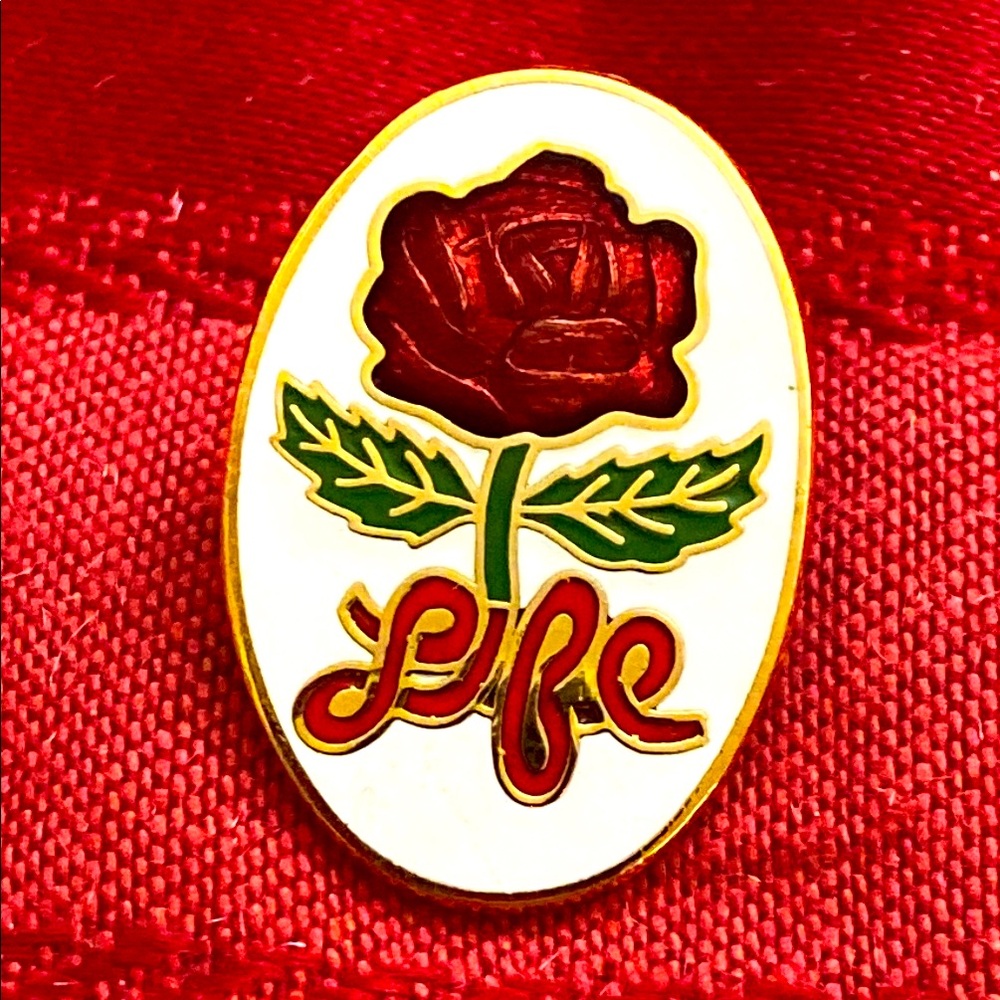 5/$10❤️❤️❤️Vintage 80s Rose Life Enamel Cloisenne’ Pin Broach